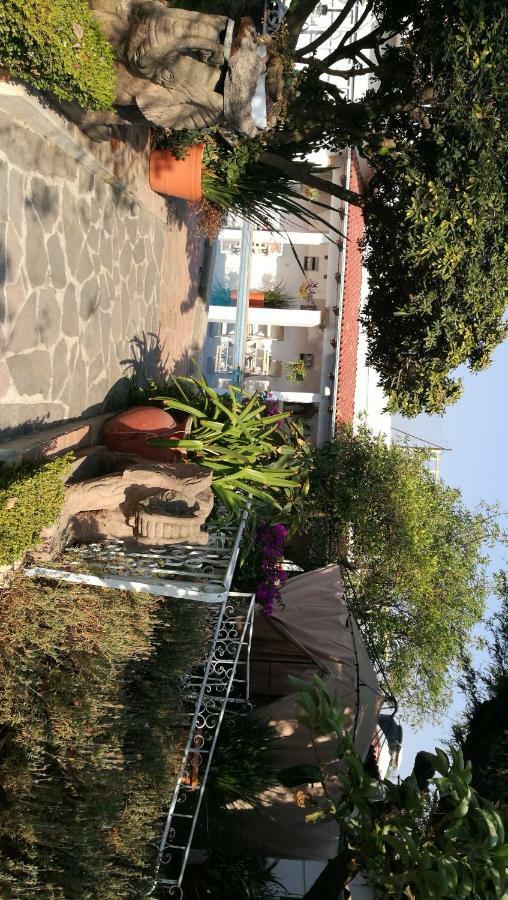 Hotel La Baronesa Tequisquiapan Kültér fotó